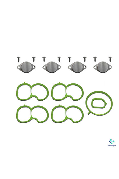 Multimarca Kit Dopuri Anulare Clapete Galerie Admisie pentru Opel 2.0 &1.9