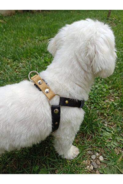 balkonda طوق للكلاب من السلالات الصغيرة، حبل قابل للتعديل باللون الأسود