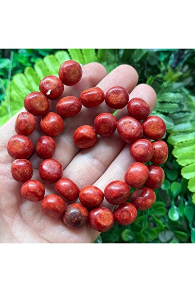 TAŞ UZMANI حجر المرجان الأسود المتوسطي 13 مم