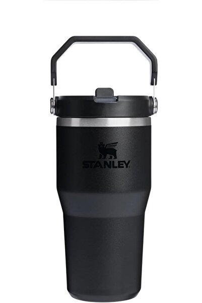 STANNLEY Ice Flow GO 600ml/20oz Flip Straw Water Bottle Black 2.0