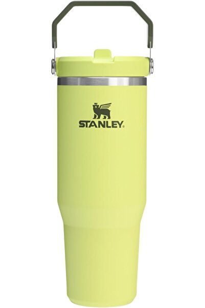 STANNLEY IceFlow 2.0 Flip Straw Tumbler with Handle 30 oz