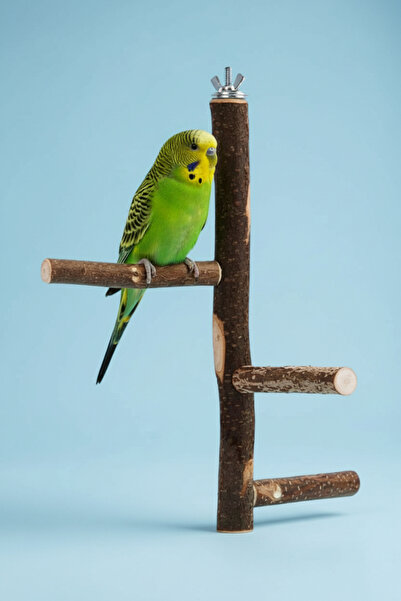 Alyones 3’lü Asmalı Kuş Tüneği | 25 cm Ahşap ve Halatlı Kuş Oyun Aksesuarı