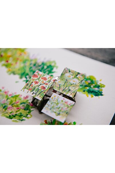 İthal Autocolant B10-Ours studio 2 foi