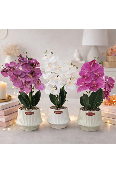 JML 1 Flori artificiale 50cm, model orhidee în ghiveci ceramic, diferite culori