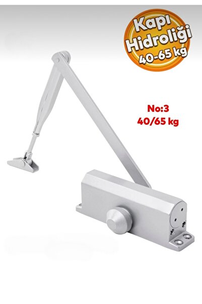 ECOLE ELE050 Otomatik Kapı Hidroliği Kapıçek No:3