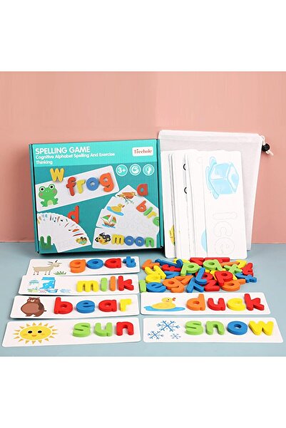 Generic Educational Flash Cards