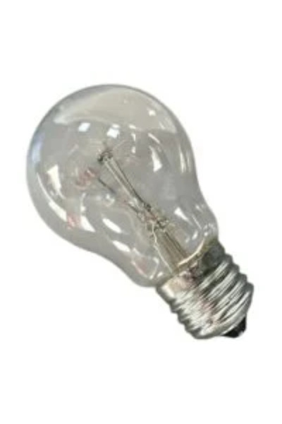 metalocasnice Bec incandescent 100W, lumeni 1080 set de 10 buc