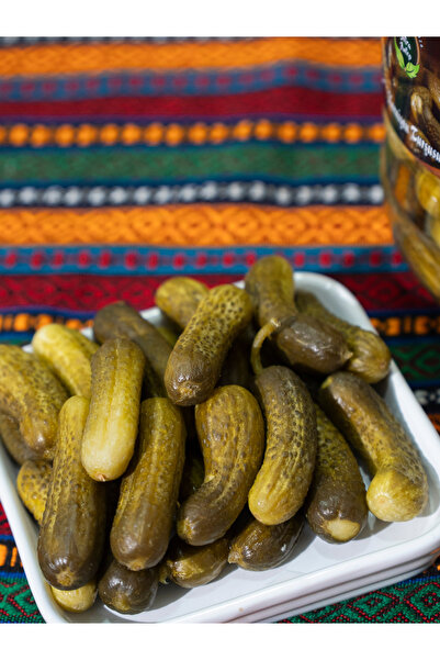 gazisofraantep Ev Yapımı Kornişon Turşusu 2 lt - Katkısız , Doğal, Çıtır Lezzet