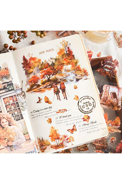 Kolbi Craft 2 Sayfa 12 Adet Şeffaf Sonbahar Sticker Bullet Journal Scrapbook ...