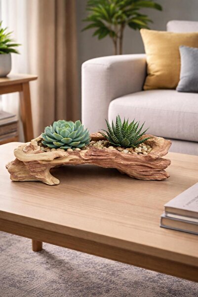 AtölyeKekik Modern Taş Tozu Kaya Formlu Dekoratif Saksı -Sukulent ve Kaktüs İ...