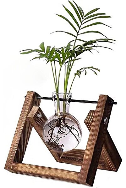Generic محطة نباتات هوائية مع مزهرية بصلة وحوض زجاجي دوار وحامل خشبي دوار