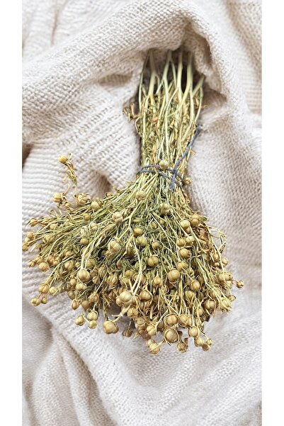 The Magıc of Healıng Üzerlik Tütsü (Adaçaylı)