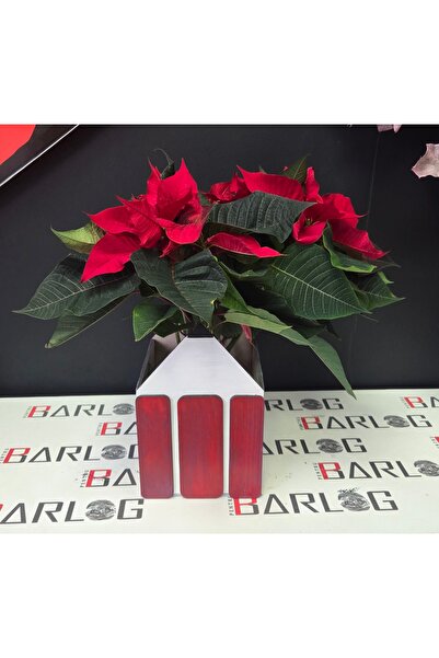 OEM Ghiveci in forma de creion