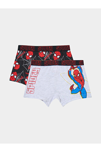 Styli Pack of 2 - Boys Spider-Man Print Briefs