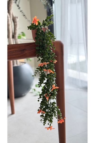 Dekoratif Saksılı Sarkıt Çiçekli Mercan