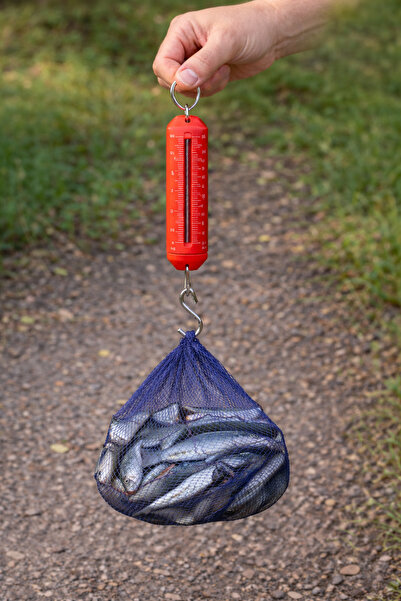 Boldy Analog Hand Scale - Fish Scale - Measuring Scale - Mechanical Hand Scal...