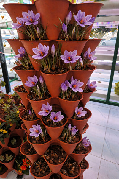 Güneydoğutopraksıztarım "SAFRAN KULESİ" DİKEY TOPRAKSIZ / TOPRAKLI TARIM - 10...