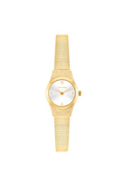 Calvin Klein Ck25100193 Women's Wristwatch