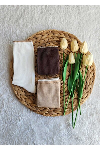 EFİLACCESSORİES جوارب نسائية مخططة رفيعة على الركبة، 3 قطع