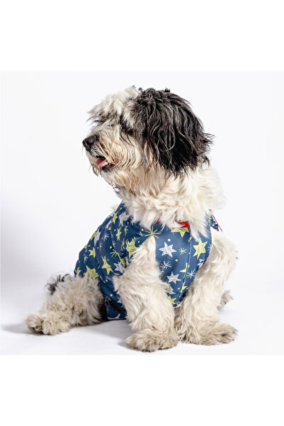 Petsuit Cat/Dog Wound Protective Harness, Postoperative Protective Harness Ju...