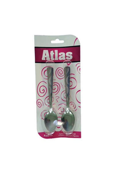 shopwave 6 Pieces Metal Dessert Spoon (5047)