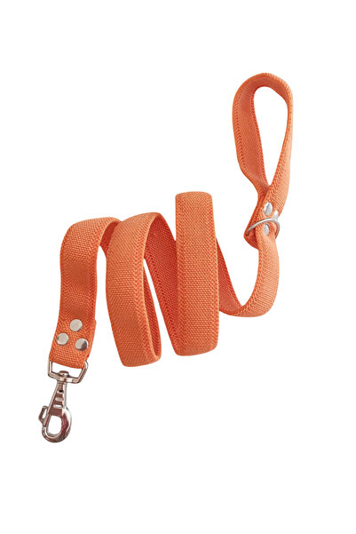 balkonda Dog Walking Leash Collar 2.5 cm Width Solid Color Column Cord Orange