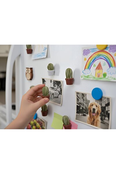 İDEXAL Magnet Kaktüs Figürlü 6 Adet Saksılı Yapay Kaktüs Bitki Çiçek