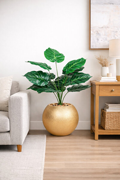 AMZOE Ornamental plant with green leaves and an elegant round pot – 55 cm tall