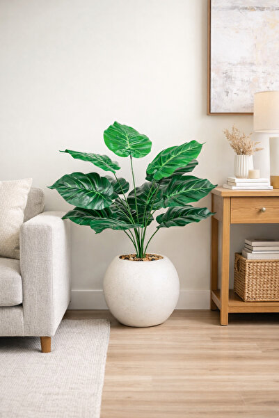 AMZOE Ornamental plant with green leaves and an elegant round pot – 55 cm tall