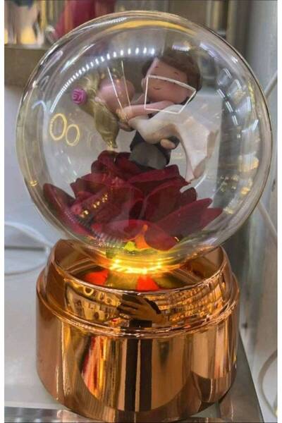 OEM Valentine's Day: Balloon with HE and HER with light made of foam roses, i...