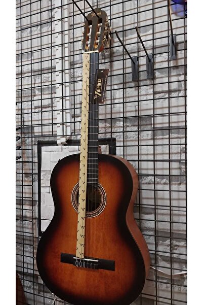 VALENCIA KLASİK GİTAR 4/4 KILIFLI