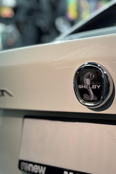 Banxtre Fiat Egea için Uyumlu Logo için Tam Uyumlu Ön-Arka Sticker Seti