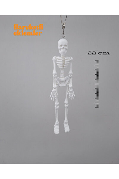 3DcraftTr 22cm Hareketli İskelet Figürü - Çanta, Anahtarlık ve Dekor Aksesuarı