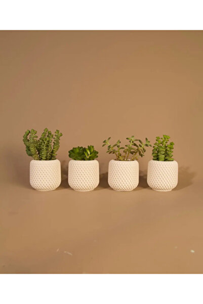 BOHEM Minimal 4 lü sukulent saksı seti hasır desenli