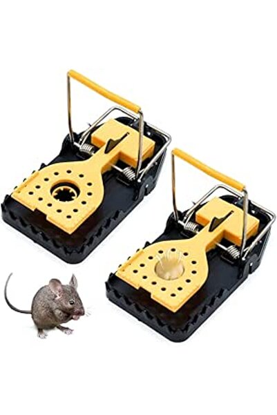 Generic Elephant Pot Mouse Traps for Home