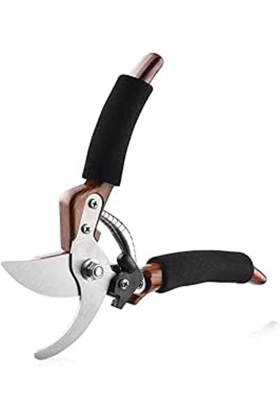 HASTHIP Professional Pruning Shears 8 Inch