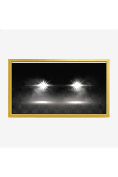 Tajridhome لوحة طبيعة هادئة - أضواء ساطعة - خلفية داكنة - درامي - لوحات فن عص...