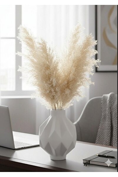 Velorahomee مزهرية بريزما العصرية – إكسسوار مكتبي ومنزلي مزخرف باللون الأبيض