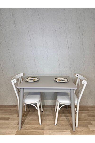 SÇ MASSAN 60 x 90 Mutfak Masası Gri MDF Küçük Mutfak Masası Çalışma Masası Ba...