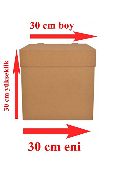 BENS Pasta Kutusu 30x30x30 cm Ebat Büyük Boy 1 Adet Gelecek
