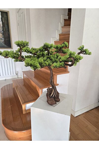 Decoroon El Yapımı Gerçek Ağaç Gövdeli Premium Bonsai Ağaç – Epoksi Tabanlı B...