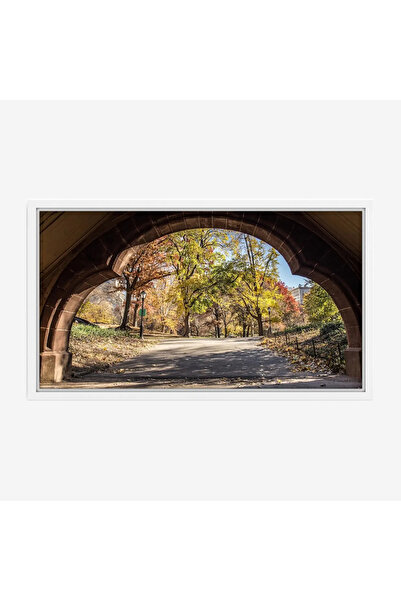 Tajridhome لوحة طبيعة هادئة - طريق تحت قوس - أشجار ملونة - هادئ - لوحات طبيعة...
