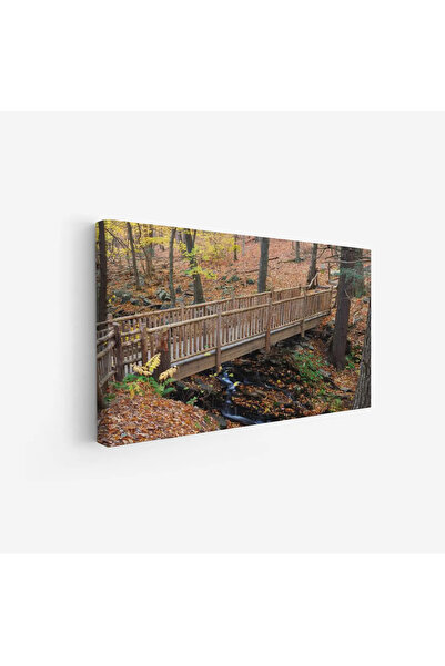 Tajridhome لوحة غابات - جسر خشبي - أوراق صفراء - هادئ - لوحات طبيعة - لوحات ك...