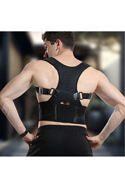 Generic Back and shoulder belt