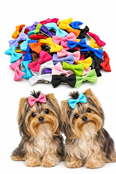 Hubjua Royal مجموعة مشابك للكلاب مكونة من 10 قطع، إكسسوارات للقطط والكلاب على...