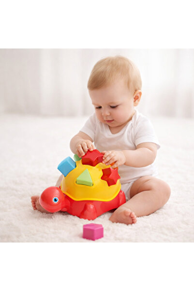 TOHA لعبة البحث عن السلحفاة الناعمة |   لعبة نشاط حسي تعليمية للأطفال 14 قطعة