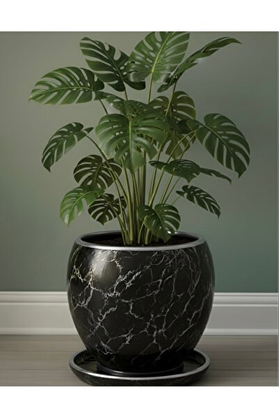 Harmony Dekoratif Büyük Beton Saksı