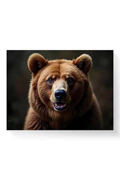 Printees Tablou - Ursul brun - Canvas pe șasiu