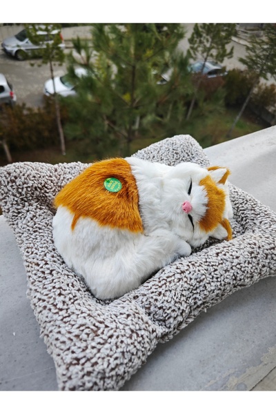 HBM MARKET 37 Big Size Voice Cat Orange 24 cm Orange