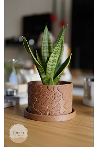 Thera Bottega MOSSA Dekoratif Küçük/Orta Boy Bitki/Sukulent Saksısı 12 CM Çap...